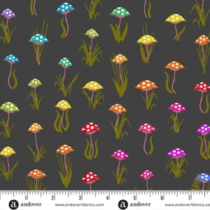 ’Color Wheel’ - Mushroom Parade in Night