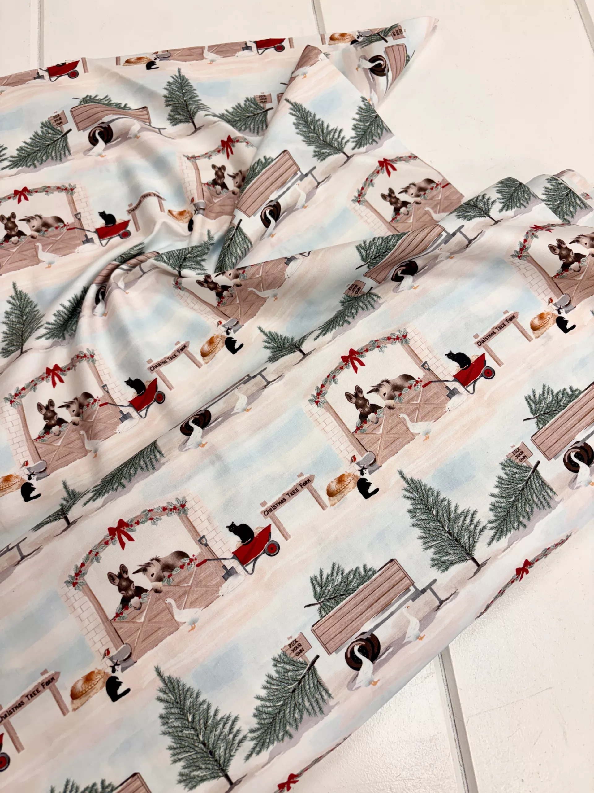 ‘Christmas In The Country’ - Christmas Tree Farm