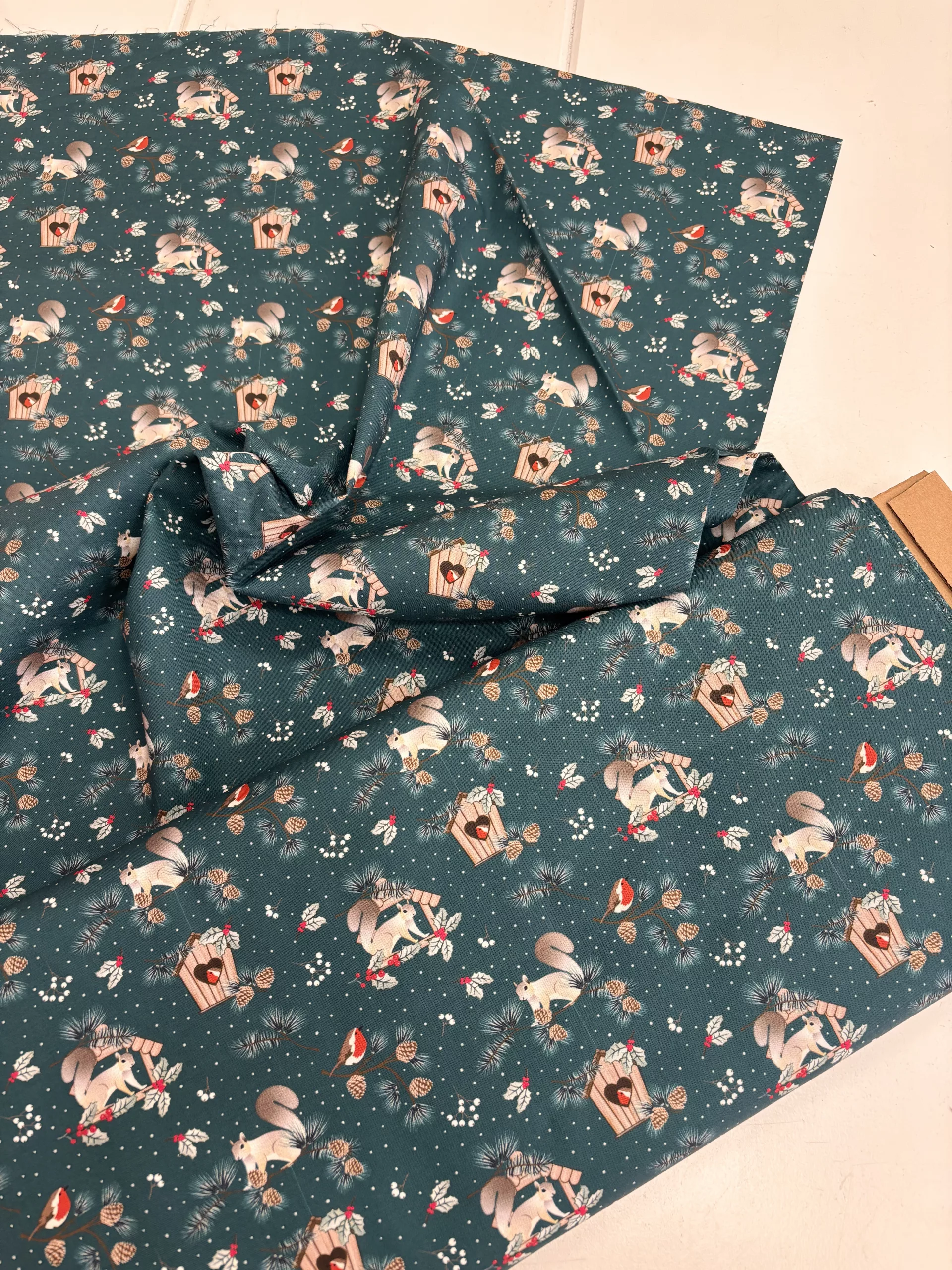 ‘Christmas In The Country’ - Squirrel Pines