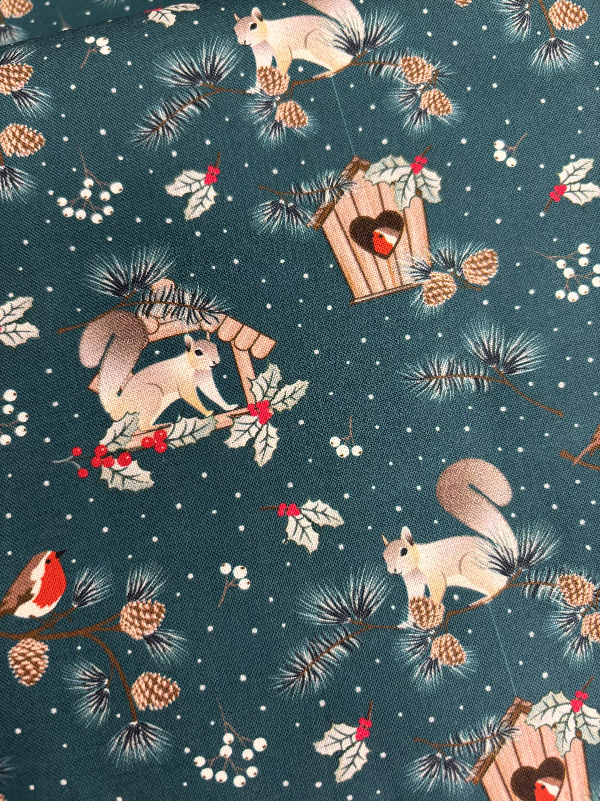 ‘Christmas In The Country’ - Squirrel Pines - Image 2