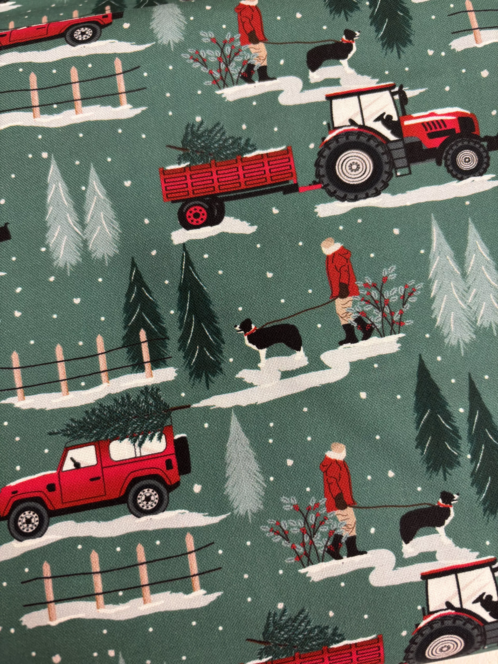 ‘Christmas In The Country’ - In The Country - Image 2