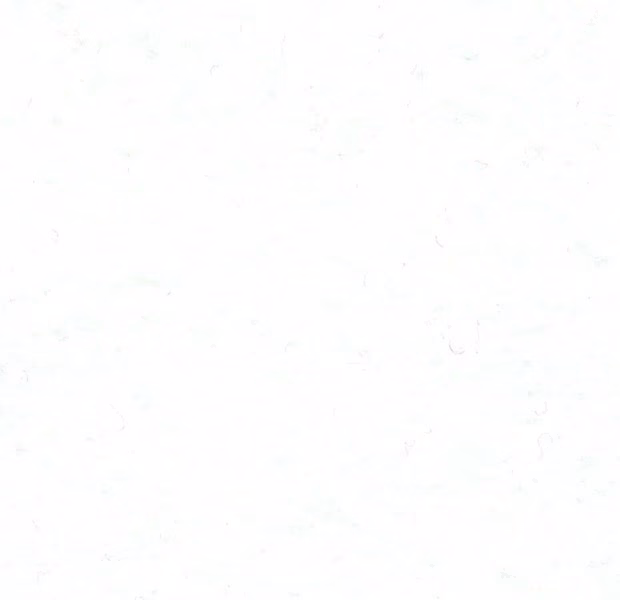 Wool Felt - White