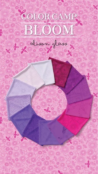 ’Color Camp’ - Bloom - 40 Strip Jellyroll - Image 23