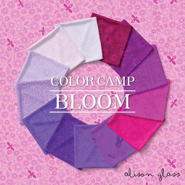 ’Color Camp’ - Bloom - 40 Strip Jellyroll - Image 24